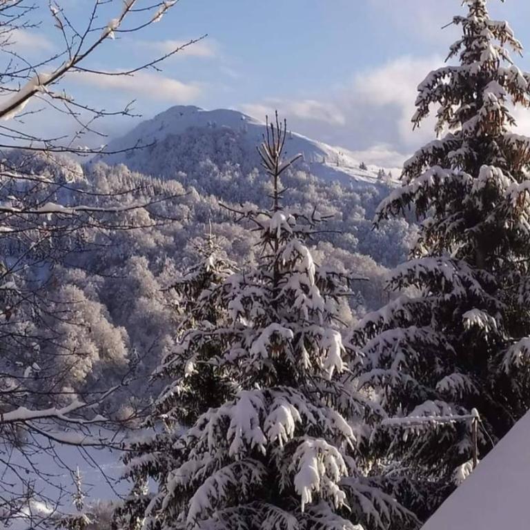 Woodside Kopaonik by Ister - Two-Bedroom Apartment - 30
