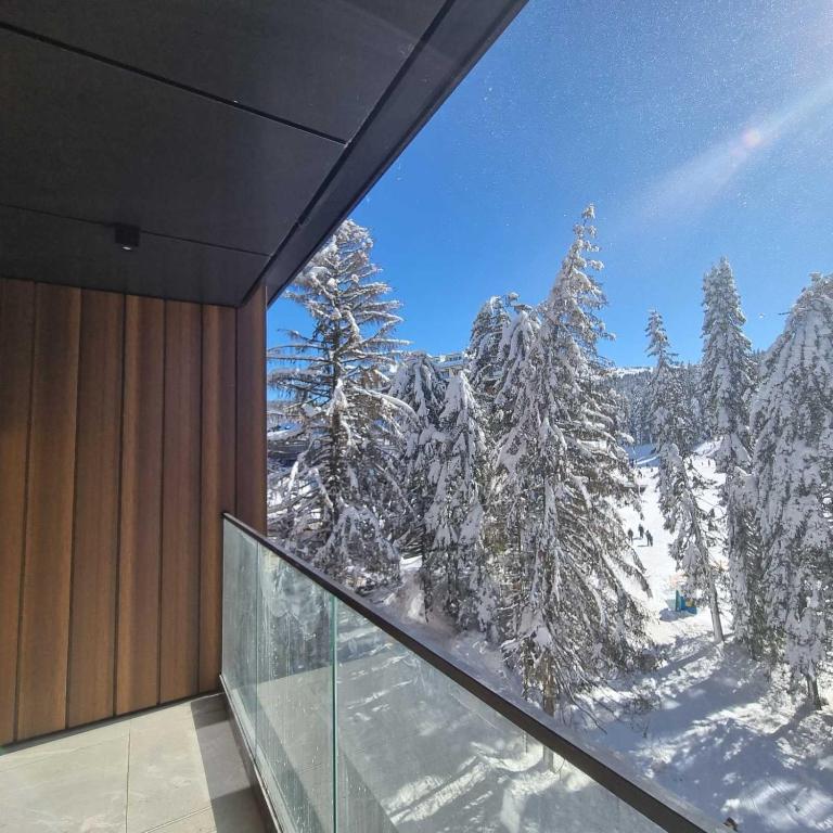 Woodside Kopaonik by Ister - Apartman sa 2 Spavaće Sobe - 28