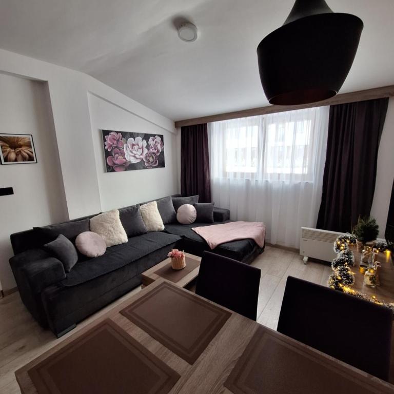 Apartmani L6 & P90 Milmari Kopaonik - Apartman sa 1 Spavaćom Sobom - 10