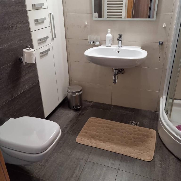 Apartman 151 U u Aparthotelu Vučko Jahorina - private host - Apartman sa 1 Spavaćom Sobom - 12