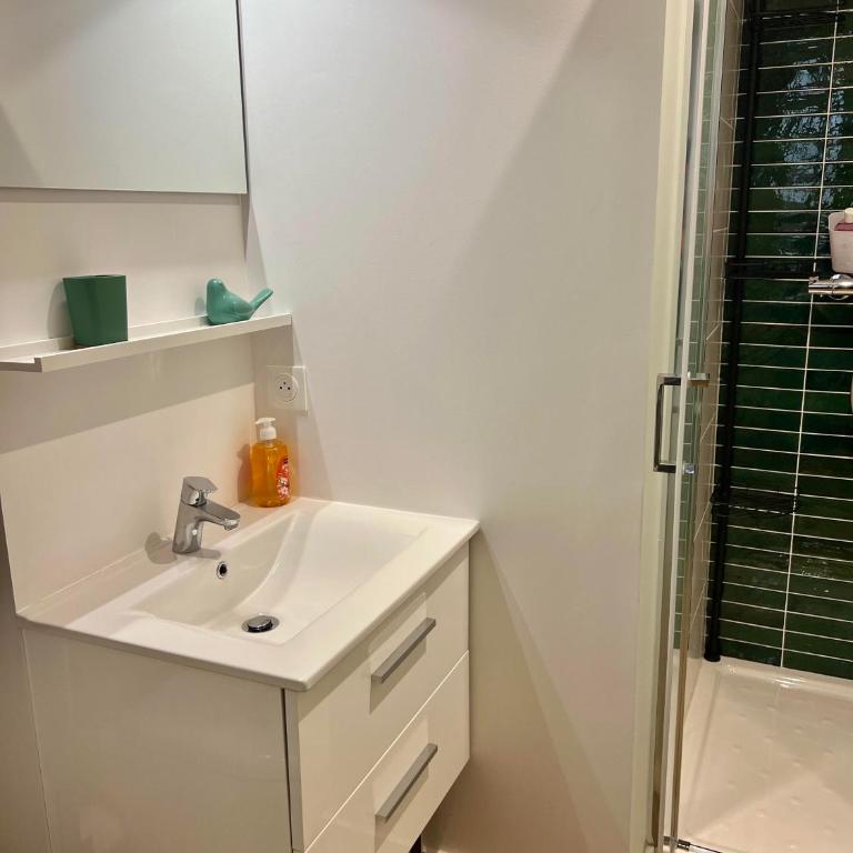 Casa Nostra - T1 - Terrasse privative - Appartement 1 Chambre - 15