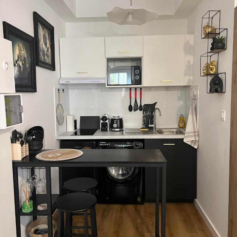 Casa Nostra - T1 - Terrasse privative - Appartement 1 Chambre - 8