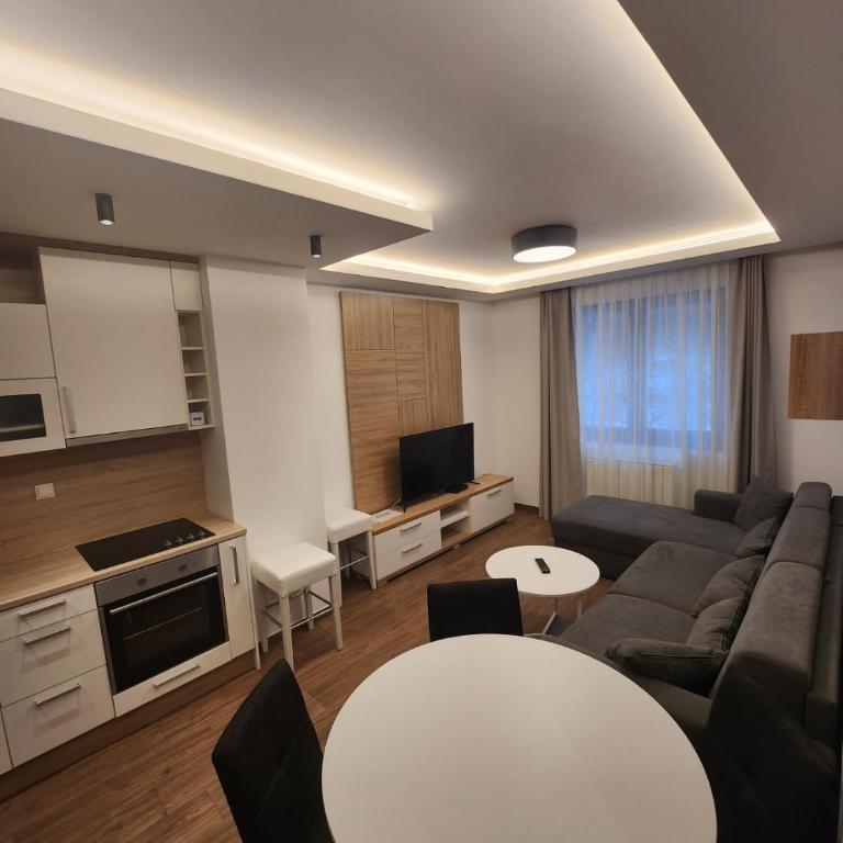 Alpin Apartments Jahorina - One-Bedroom Apartment - 3