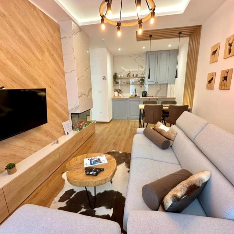 Apartman Drvorez-direktno na ski stazi - One-Bedroom Apartment - 5