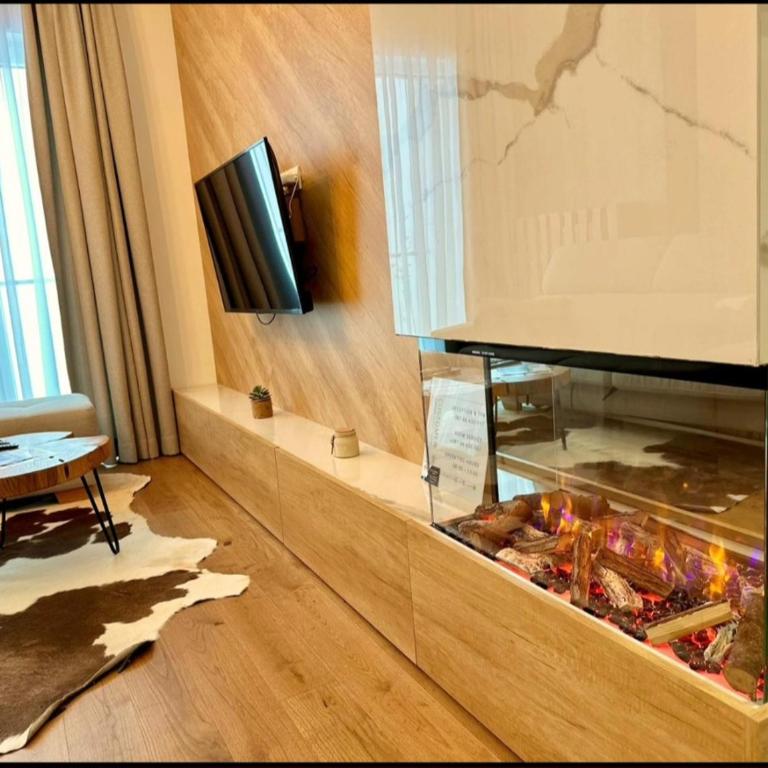 Apartman Drvorez-direktno na ski stazi - One-Bedroom Apartment - 10