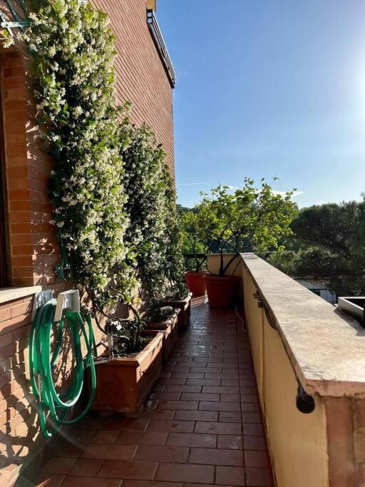 Green & relax near S.Peter - Apartamento de 3 dormitorios - 15