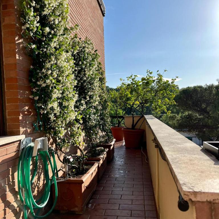Green & relax near S.Peter - Apartamento de 3 dormitorios - 2