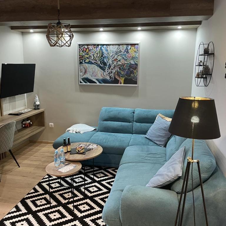 Aspen Apart12 - One-Bedroom Apartment - 2