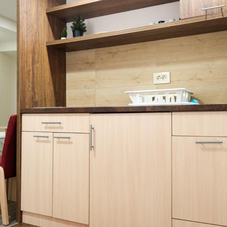 Apartments Pavle - Studio Apartment - 6