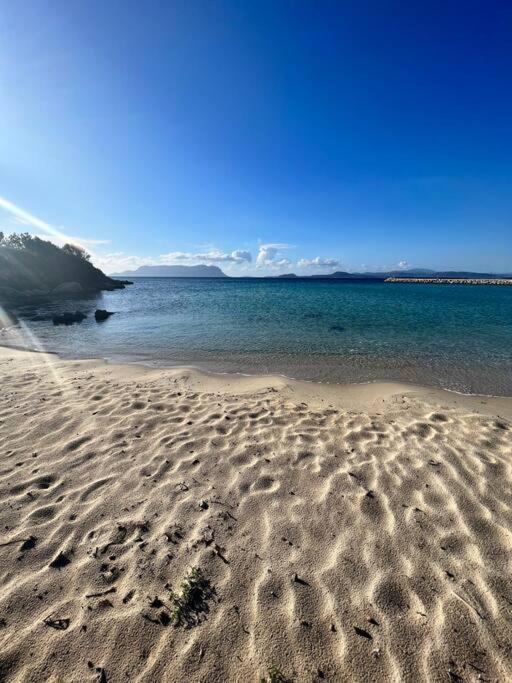 Sardegna: Vista mare, vicino alla spiaggia - Casa con 1 Camera da Letto - 15