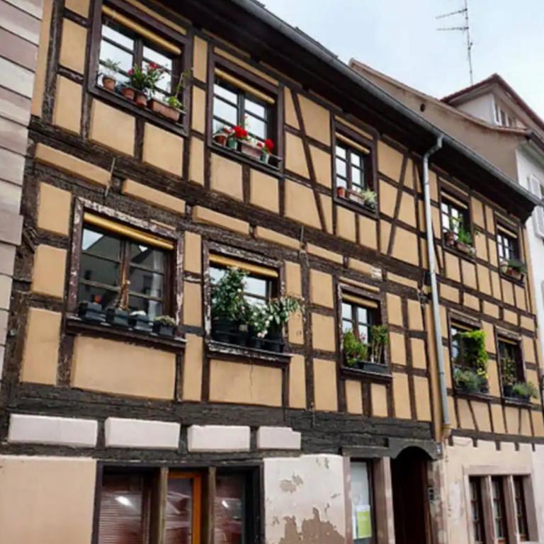 Strasbourg magnifique appartement centre ville Petite France - Three-Bedroom Apartment - 24