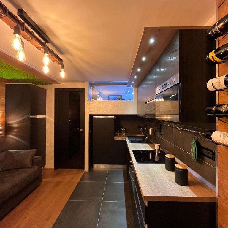 Appartamento di lusso sulle piste - Appartement 1 Chambre - 10