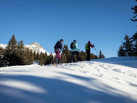 Kirschstein OG - Apartment mit Blick auf die Berge - 13