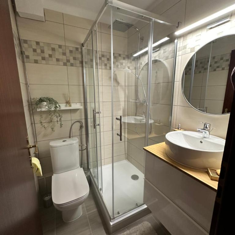 Dachsteinblick apartment - Studio - 20