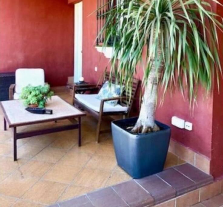 Casa con piscina cerca de Sancti Petri - Casa de 3 dormitorios - 17