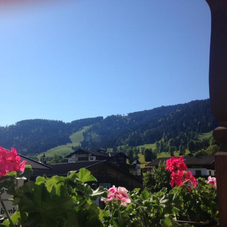 Appartement Alpenhof Wildschönau - Apartment mit 1 Schlafzimmer und Balkon - 5