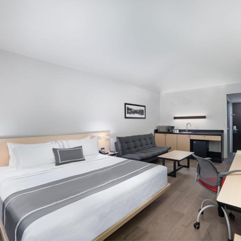 City Express Plus by Marriott Ciudad de México Insurgentes Sur - One-Bedroom King Suite with Sofa Bed - 2