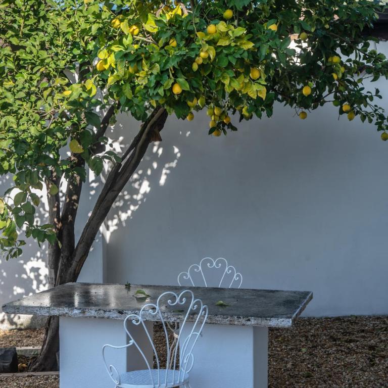 lemon suites - Appartamento Superior con Vista Città - 11
