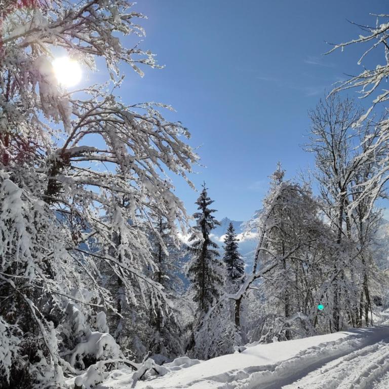 logement entre lac et montagnes - Appartement 1 Chambre - 13