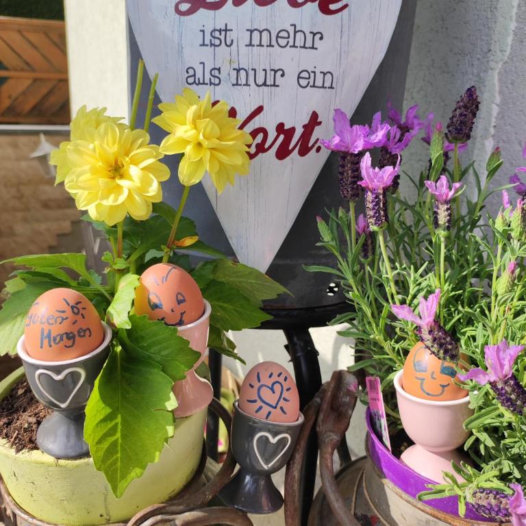 Bauernhof Sonnenhuab - Apartment mit 1 Schlafzimmer - 13