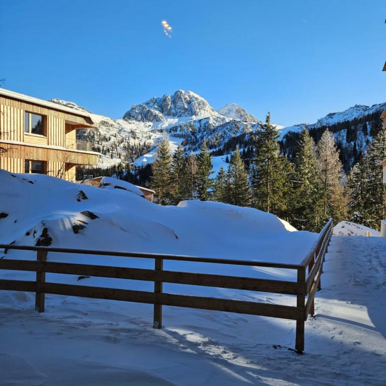 Almappartement Nassfeld- Sonnenalpe - Apartment mit 1 Schlafzimmer - 27