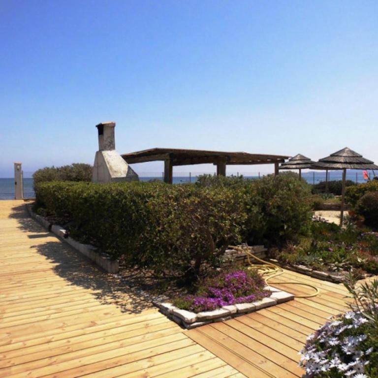 Au Grand sud - Apartment mit Gartenblick - 1