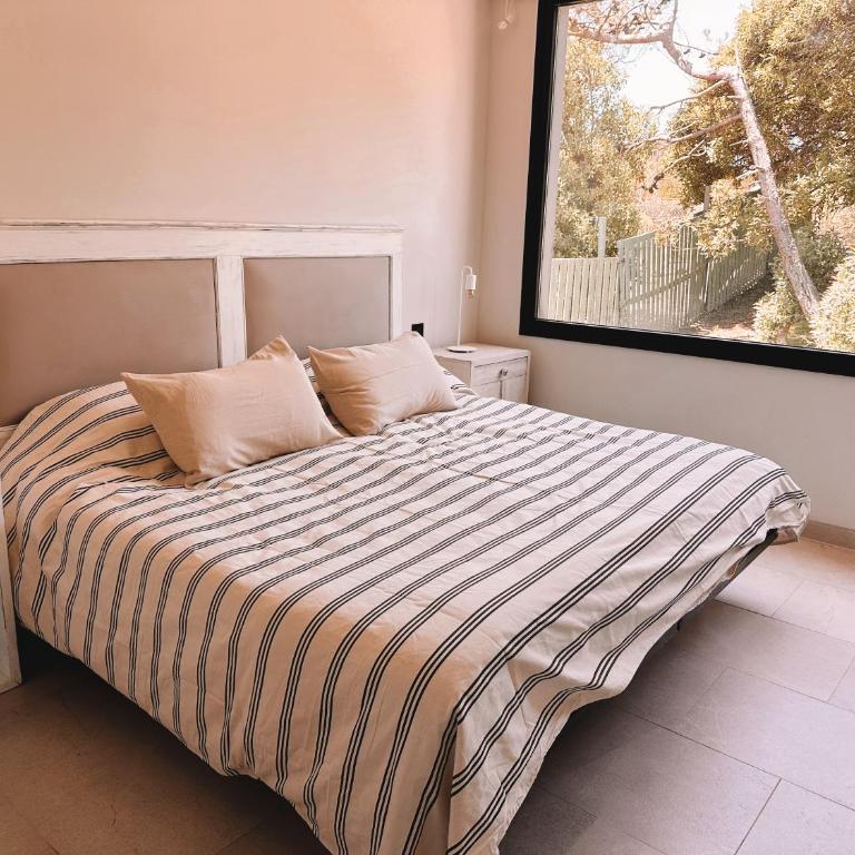 La Tertulia - Three-Bedroom House - 7