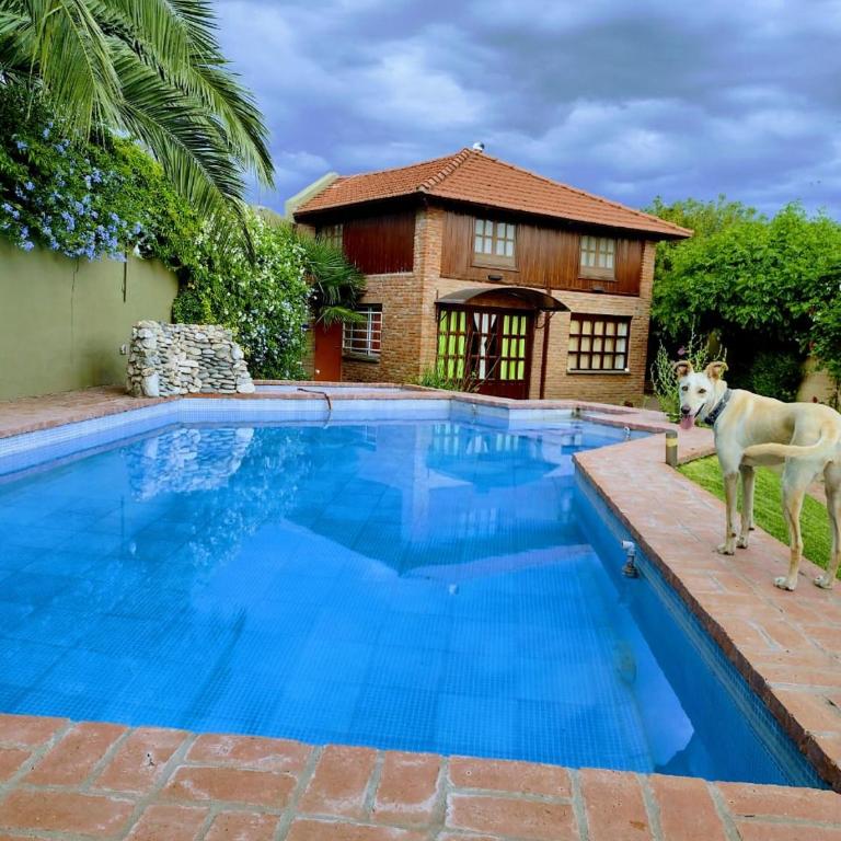 Duplex El Duende - Casa con 1 dormitorio - 1