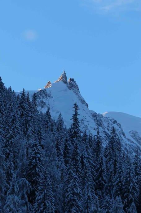 Chalet Melusine - Big Chalet w Spa Pool, Sauna, Huge Terrace, Views & Privacy! - Chalet - 40