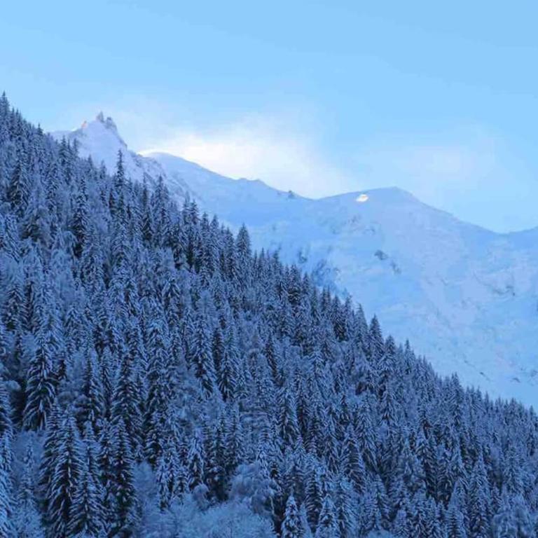 Chalet Melusine - Big Chalet w Spa Pool, Sauna, Huge Terrace, Views & Privacy! - Chalet - 39