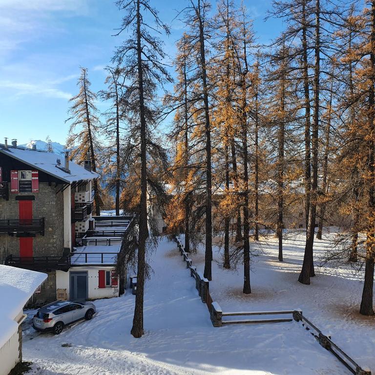 Studio Hyper centre Valberg - Studio-Apartment - 14