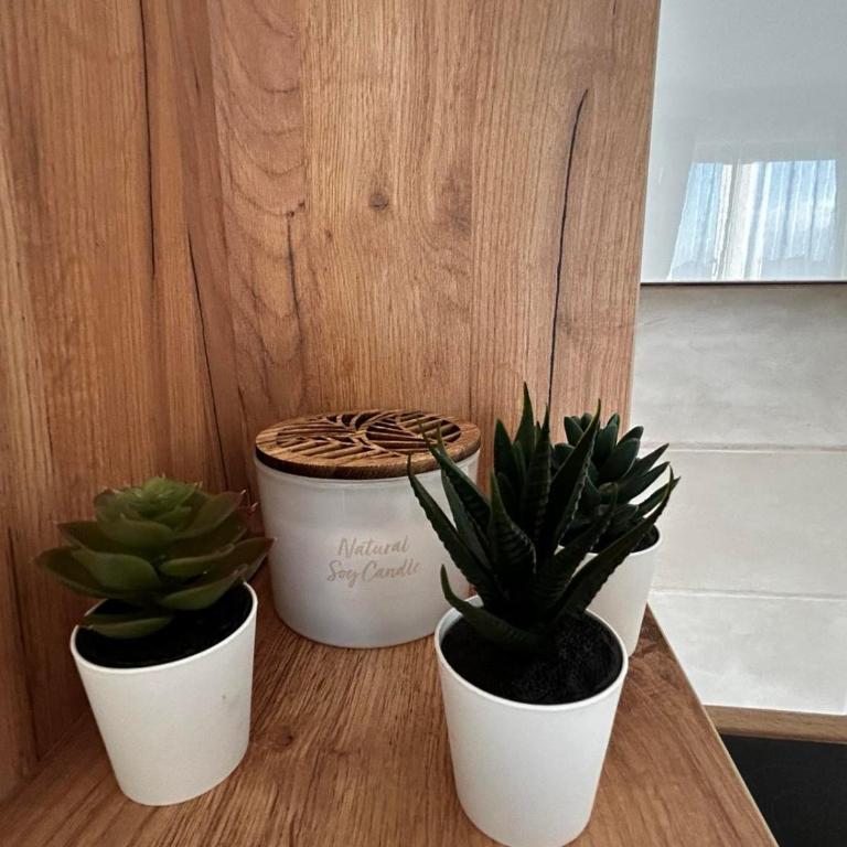 Vanila 379 - Apartman sa 1 Spavaćom Sobom - 21