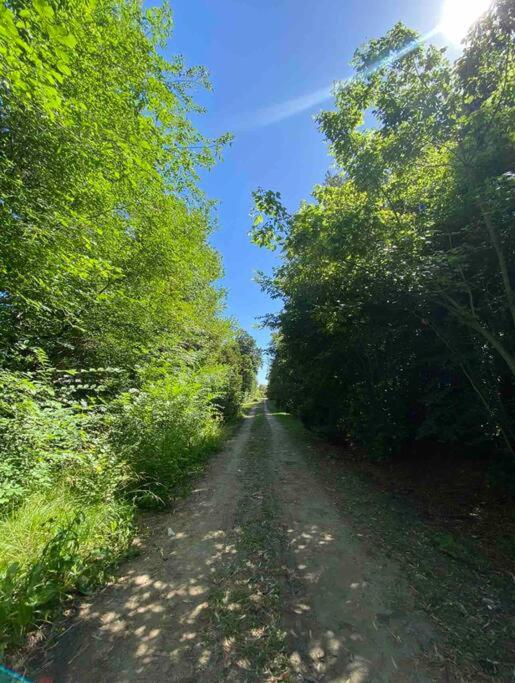 Cabañas en medio del bosque - One-Bedroom Apartment - 9