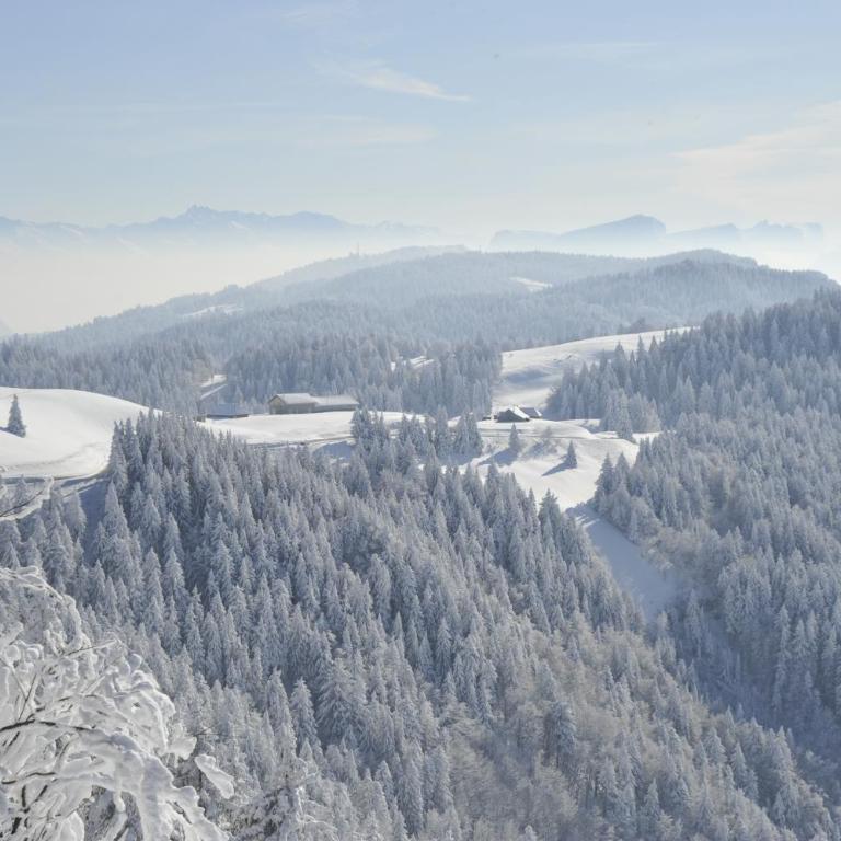 Grande maison familiale dans le massif des Bauges - Maison 7 Chambres - 37