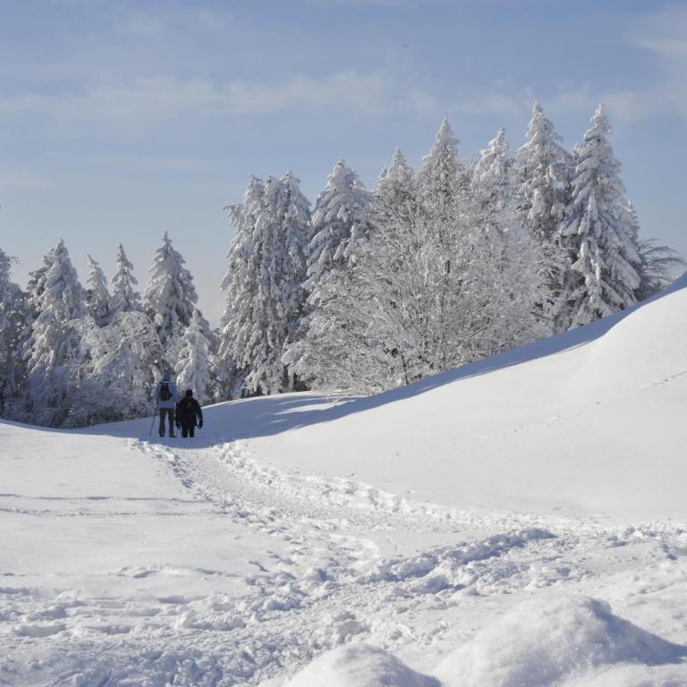 Grande maison familiale dans le massif des Bauges - Maison 7 Chambres - 38