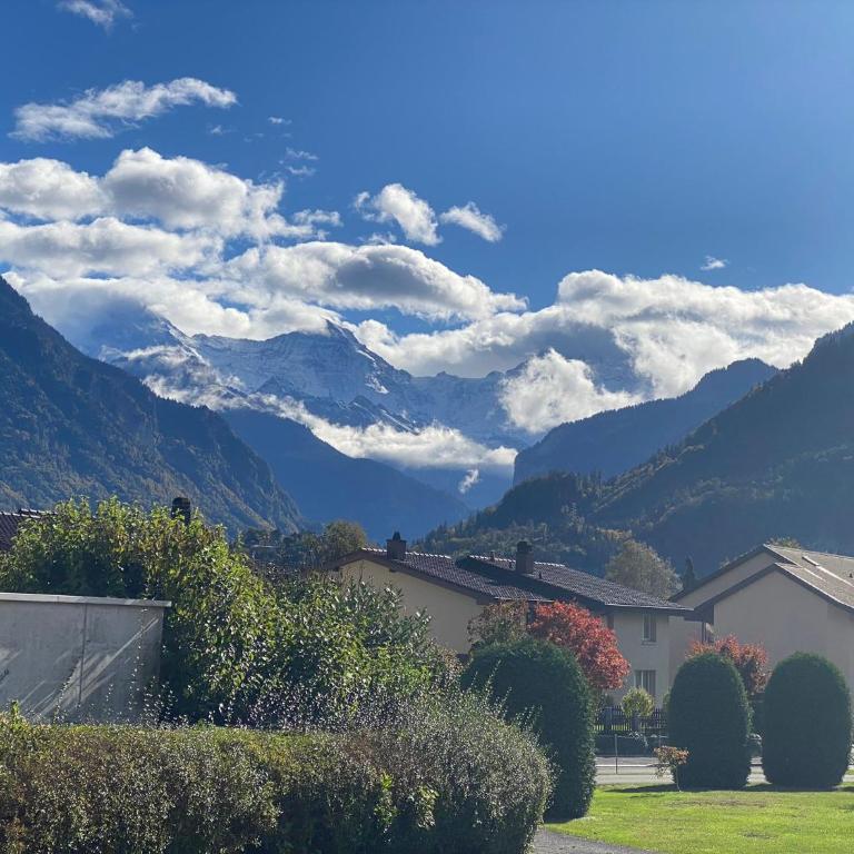 Unique Tiny Eco Lodges with gorgeous views to Jungfrau Massiv - One-Bedroom House - 13