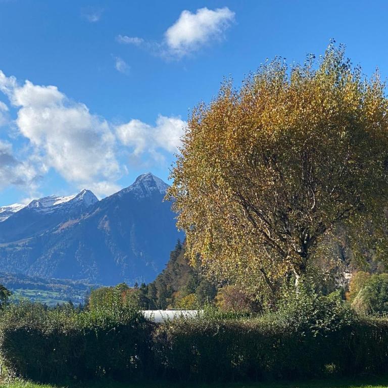 Unique Tiny Eco Lodges with gorgeous views to Jungfrau Massiv - One-Bedroom House - 18