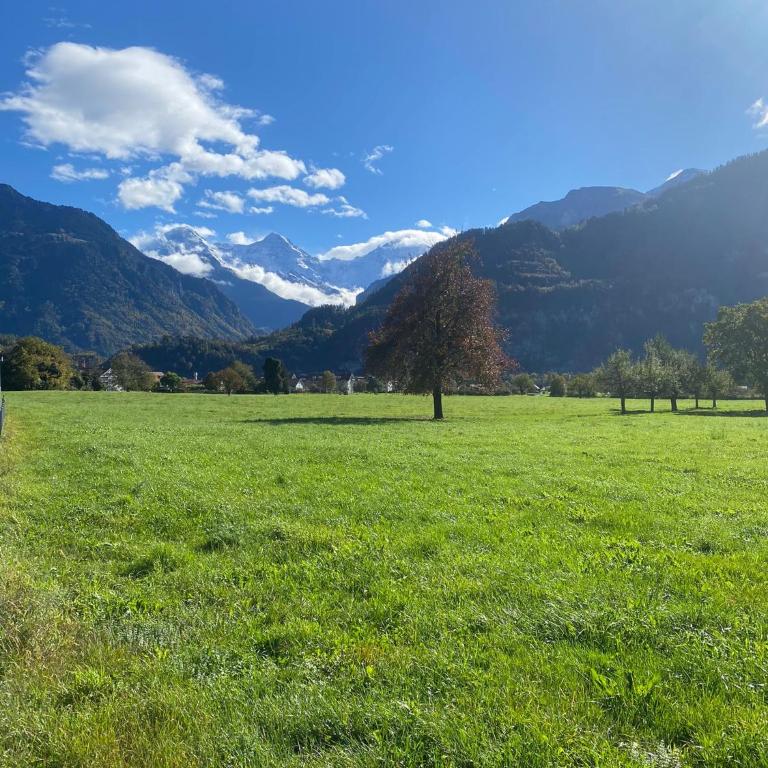 Unique Tiny Eco Lodges with gorgeous views to Jungfrau Massiv - One-Bedroom House - 19