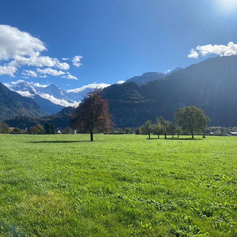 Unique Tiny Eco Lodges with gorgeous views to Jungfrau Massiv - One-Bedroom House - 21