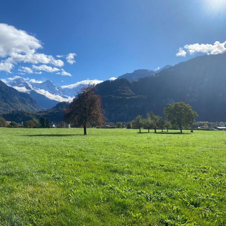 Unique Tiny Eco Lodges with gorgeous views to Jungfrau Massiv - One-Bedroom House - 22