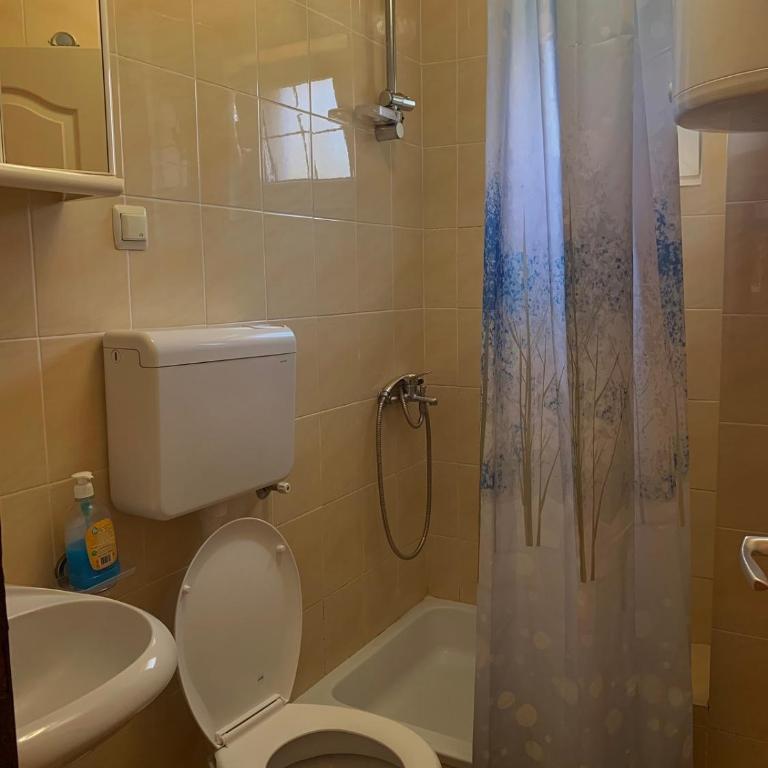 Apartmani vila Todor - Apartman - 3