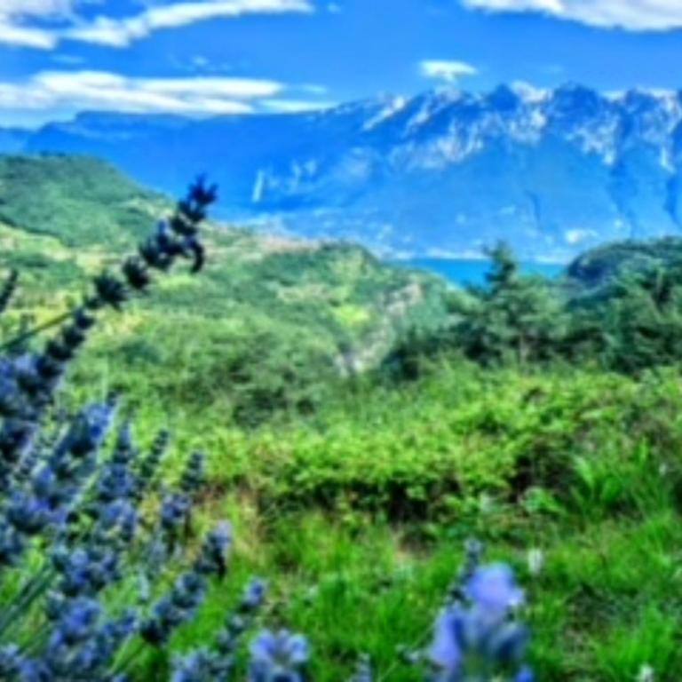 schöne Ferienwohnung mit herrlichem Blick zum Gardasee - Appartamento - 3