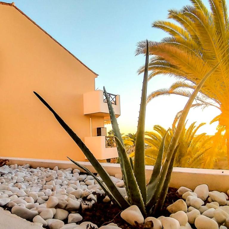 Albatros Sunset view Apartment - Apartamento de 1 dormitorio - 14