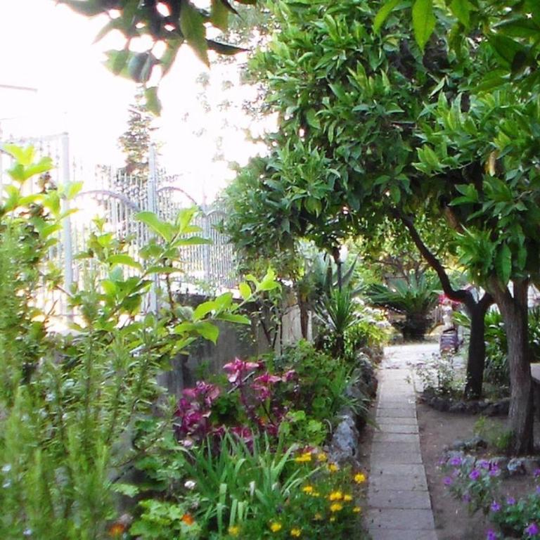 Villa Laria Tropea - Appartamento - 11
