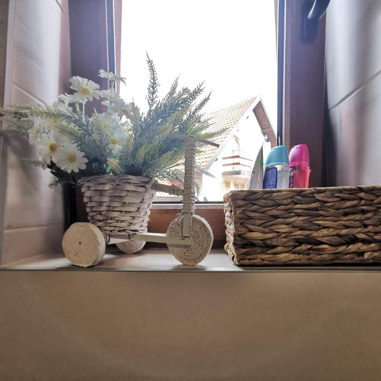 Snowflake - Apartman sa 1 Spavaćom Sobom - 22