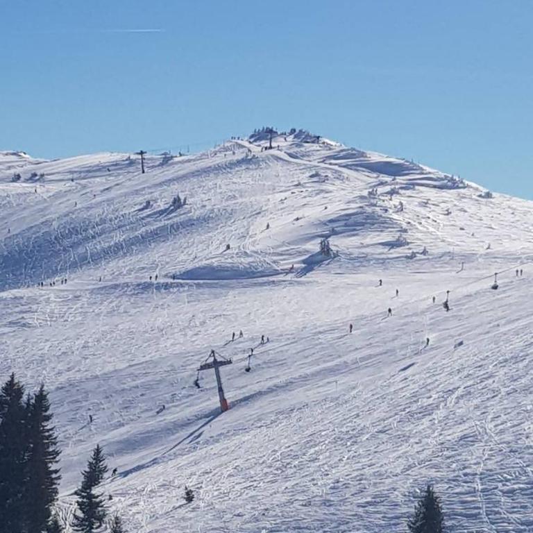 Apartman 151 U u Aparthotelu Vučko Jahorina - private host - Apartman sa 1 Spavaćom Sobom - 18