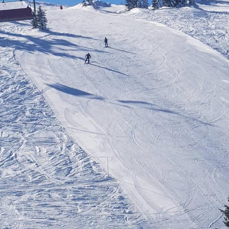 Apartman 151 U u Aparthotelu Vučko Jahorina - private host - Apartman sa 1 Spavaćom Sobom - 19