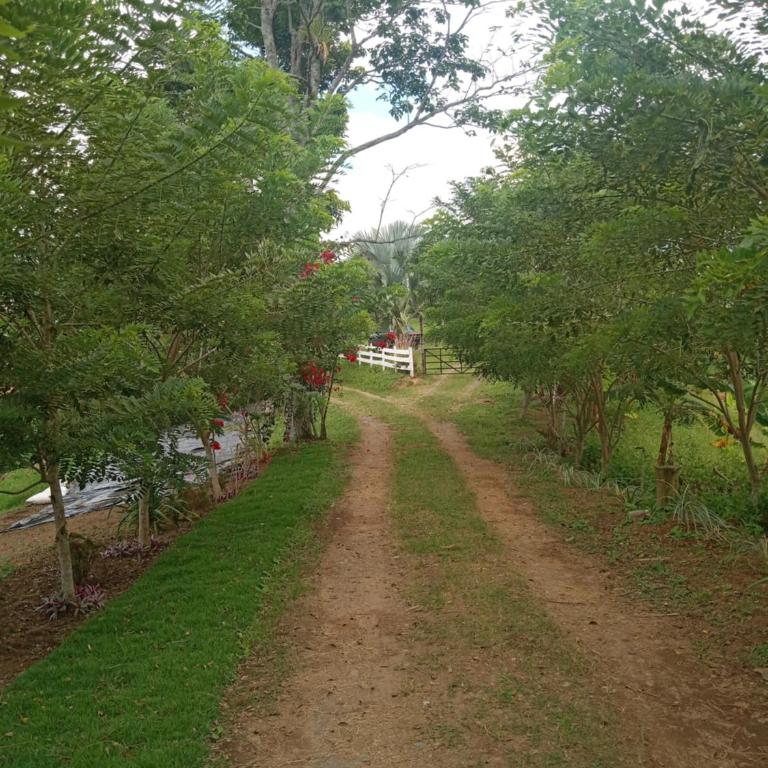 Rancho de Juancho - Casa de 2 dormitorios - 49