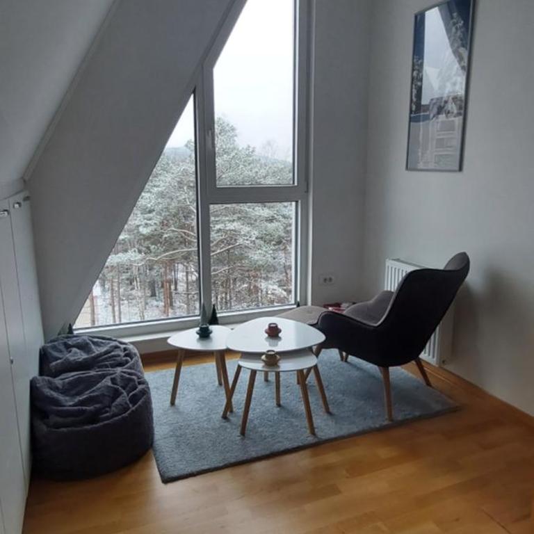 Aprtman Divčigora C14 - Apartman sa 1 Spavaćom Sobom - 10
