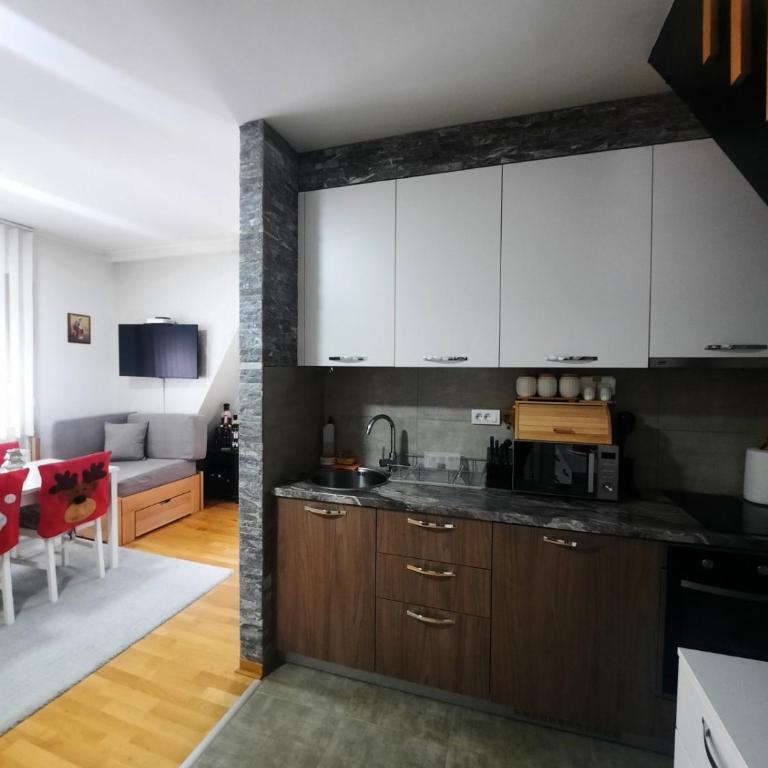 Aprtman Divčigora C14 - Apartman sa 1 Spavaćom Sobom - 3